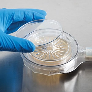 Microbial air sampler environmental monitoring biocapt single use sterility assurance