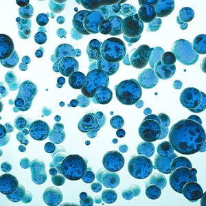Particle Contamination in High-Purity Process Chemicals