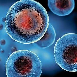 Stem Cell Therapy Sterility Assurance 